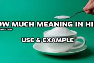How Much Meaning in Hindi Use & Example