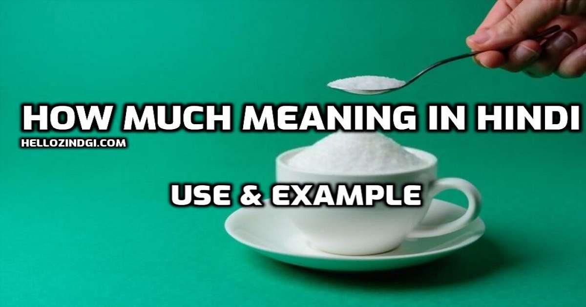 How Much Meaning in Hindi Use & Example