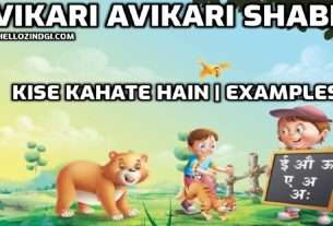 Vikari Avikari Shabd Examples