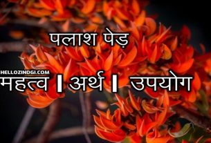 Palash Ke Fayde in Hindi
